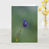 Carte Monk'shood1 (Fleur jaune)