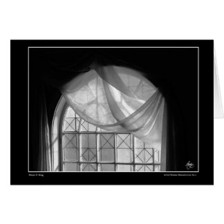 Carte Monochrome N° 1