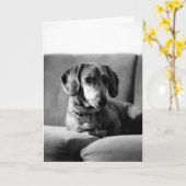 Carte Monsieur Daschund (Fleur jaune)