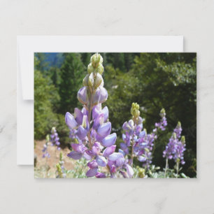 Carte Mont Lupins