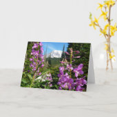 Carte Mont Rainier Entre Fleurs Violettes De Phlox (Fleur jaune)
