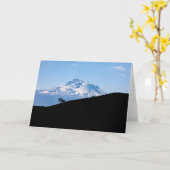 CARTE MONT SHASTA (Fleur jaune)