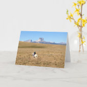 Carte Montagne en chef Montana (Fleur jaune)