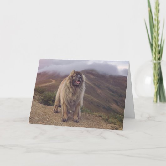 Carte montagne Leonberger (Devant)