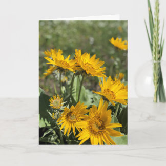 Carte Montagnes de patte d'ours