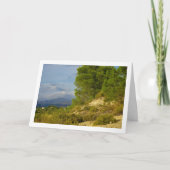 Carte Montagnes et pins (Devant)