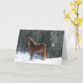 Carte Montre d'hiver (Fleur jaune)