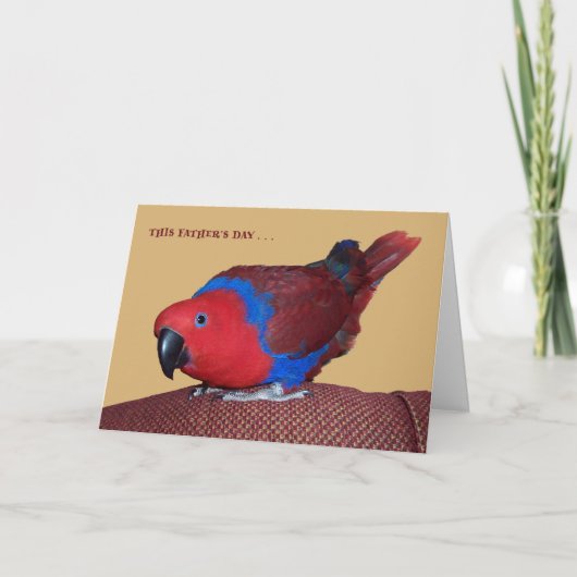 Carte Montre TV (Devant)