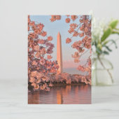Carte Monument Washington avec fleurs de cerisier (Debout devant)