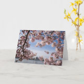 Carte Monuments | Jefferson Memorial Cherry Blossoms (Fleur jaune)