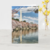 Carte Monuments | Washington Memorial (Fleur jaune)