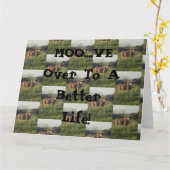 Carte Moo...Allez ! (Fleur jaune)