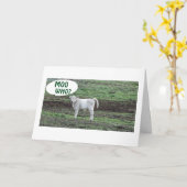 Carte MOO QUI DIT LA VACHE OU BOO HOO 30e ANNIVERSAIRE (Fleur jaune)