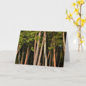 Carte Moody Forest Trees Heure d'or (Fleur jaune)