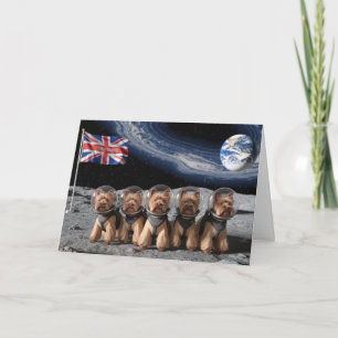 Carte Moon Yorkies