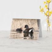 Carte Moorhen et Chick (Fleur jaune)