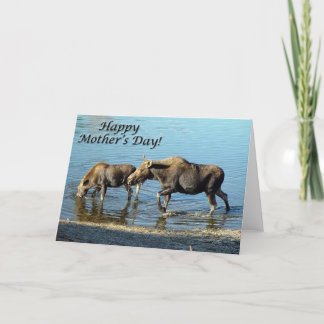 Carte Moose and Calf "Bonne fête des mères"