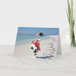 Carte Mootilda beachCOWmbing
