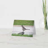 Carte Moqueur (Devant)