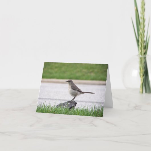 Carte Moqueur (Devant)