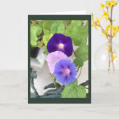 Carte Morning Glory Trio Blank (Fleur jaune)