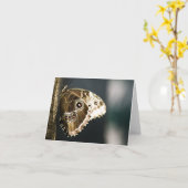 Carte Morpho peleides (Fleur jaune)