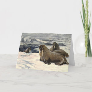 Carte Morses dans la neige arctique, animal marin vintag