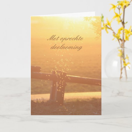 Carte Mosquito Sunlight (Fleur jaune)