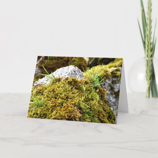 Carte Mosses, Printemps éveil (Devant)