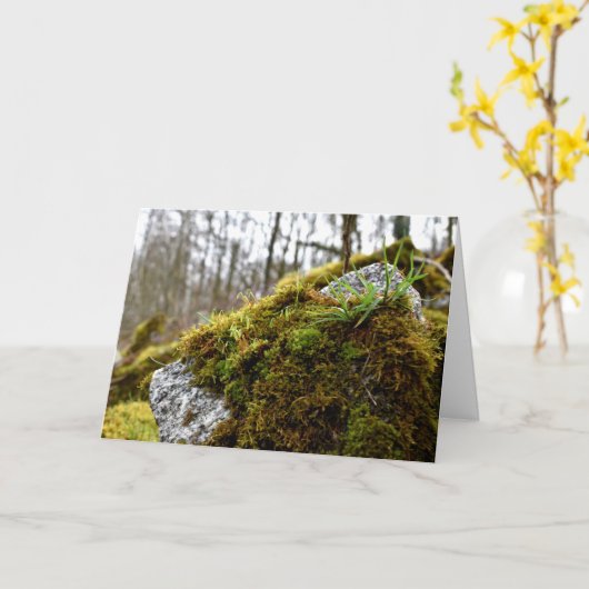 Carte Mosses, Printemps éveil (Fleur jaune)
