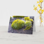 Carte Mosses, Printemps éveil (Fleur jaune)