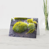 Carte Mosses, Printemps éveil (Devant)