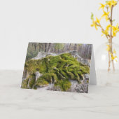 Carte Mossy Broken Headstone (Fleur jaune)