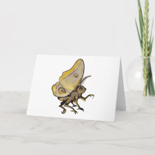 Carte Moth