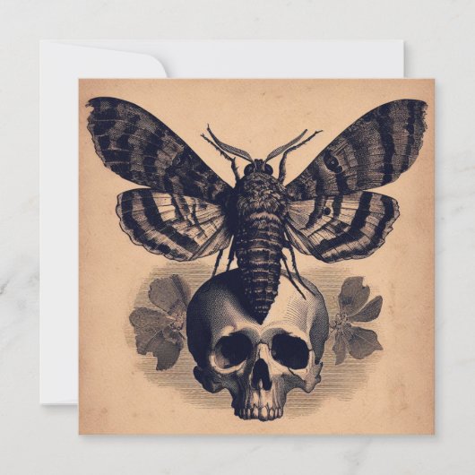 Carte Moth on Skull Antique Goth Horror Illustration (Devant)