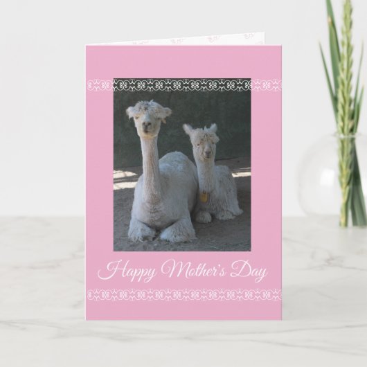 Carte Mother's Day Alpaca (Devant)