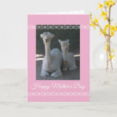 Carte Mother's Day Alpaca (Fleur jaune)