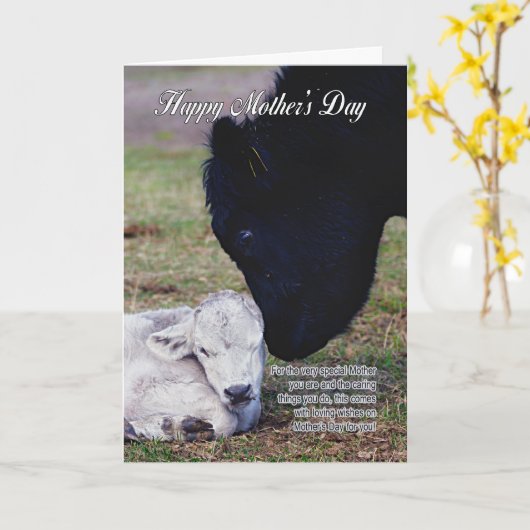Carte Mother's Day Card With Spring Cow and Calf - Speci (Fleur jaune)