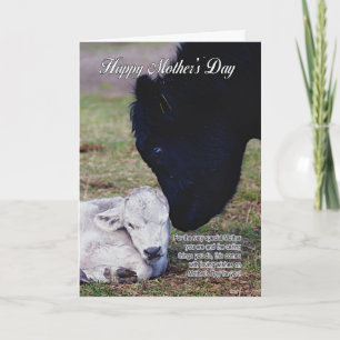 Carte Mother's Day Card With Spring Cow and Calf - Speci