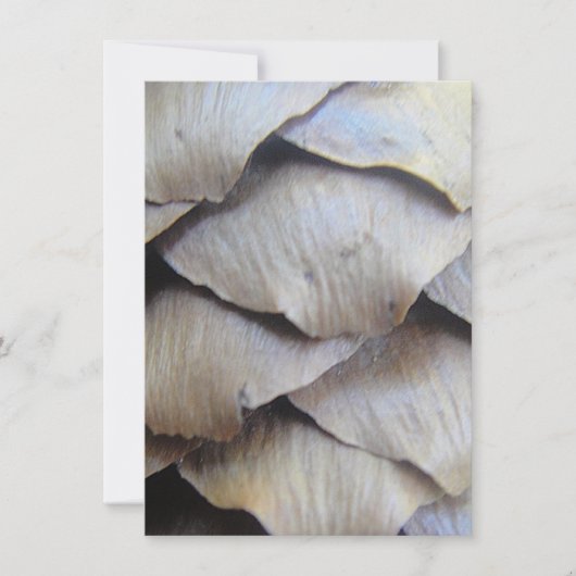 Carte motif de cône Brown (Devant)