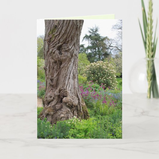 Carte Motifs Hidcote Garden  d'écorce texturée de Ash Tr (Devant)