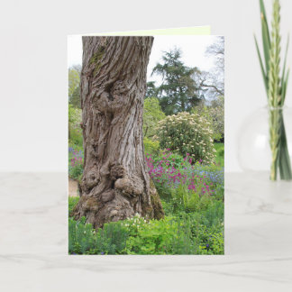 Carte Motifs Hidcote Garden d'écorce texturée de Ash Tr