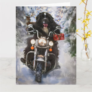 Carte Moto à chiens de Terre-Neuve Noël