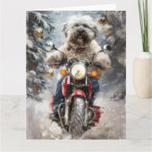 Carte Moto à chiens Havanais Noël (Devant)