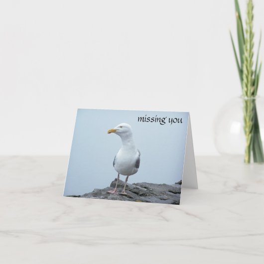 Carte Mouette (Devant)