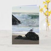 Carte Mouette au bord de la mer (Fleur jaune)