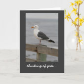 Carte Mouette : Carmel-par-le-Mer (Fleur jaune)