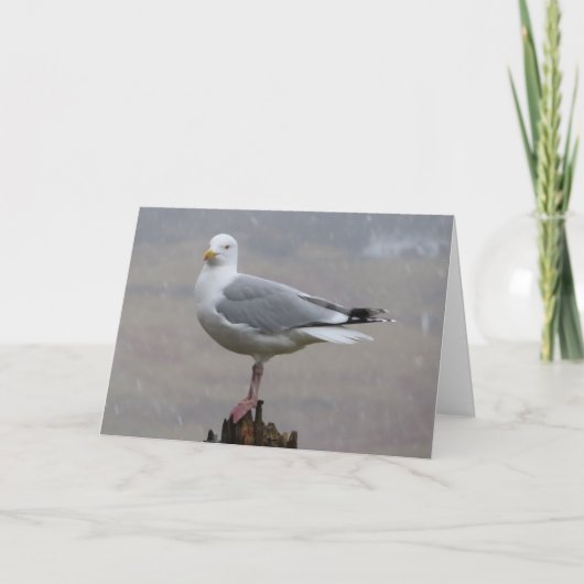 Carte Mouette côtière solitaire face au blizzard hiverna (Devant)