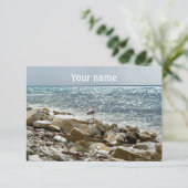 Carte mouette et surf marin (Debout devant)