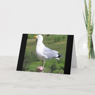 Carte Mouette personnalisable debout sur un poteau salut